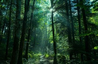 Move Beyond Sustainable: Regenerative Tourism Is Here