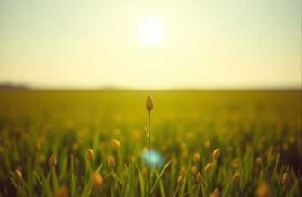 I Win Anyway Gospel Song