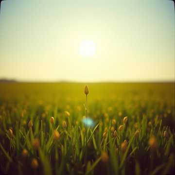 I Win Anyway Gospel Song