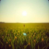 I Win Anyway Gospel Song